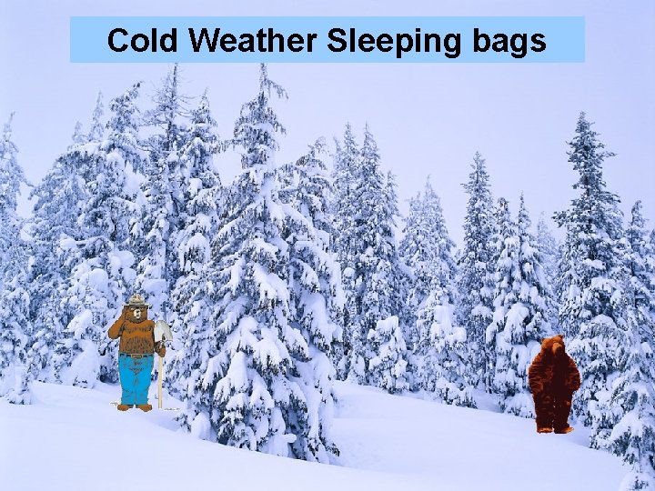 Cold Weather Sleeping bags 