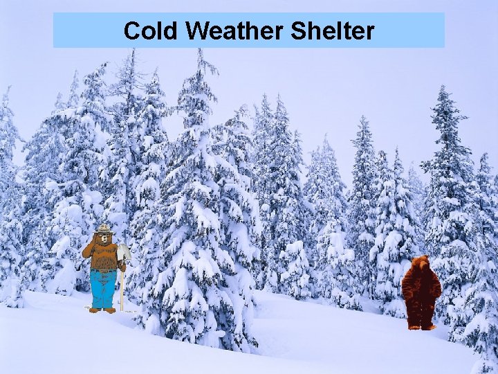 Cold Weather Shelter 