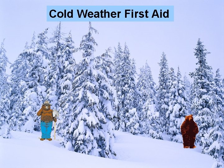 Cold Weather First Aid 