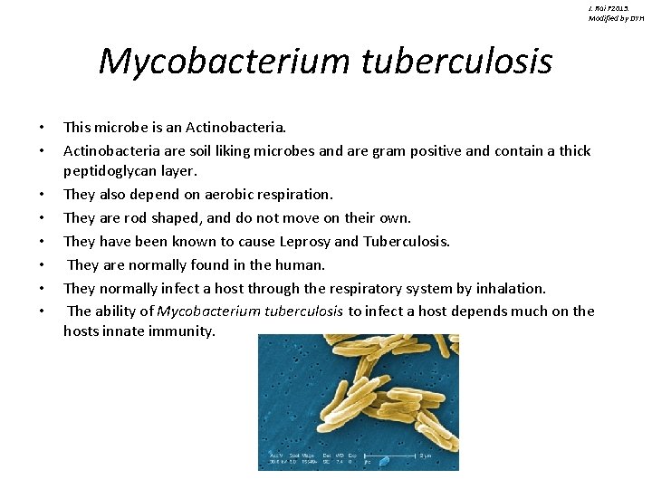 J. Rai F 2013. Modified by DYH Mycobacterium tuberculosis • • This microbe is