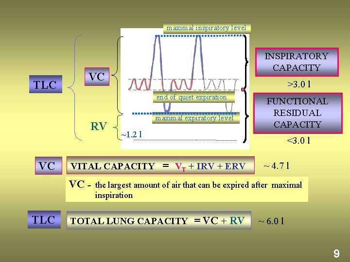 maximal inspiratory level TLC INSPIRATORY CAPACITY VC >3. 0 l end of quiet expiration