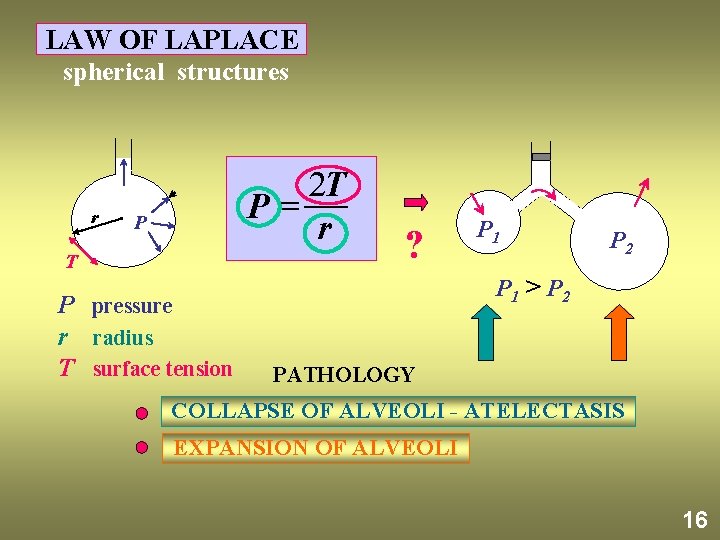 LAW OF LAPLACE spherical structures r 2 T P= r P T P pressure