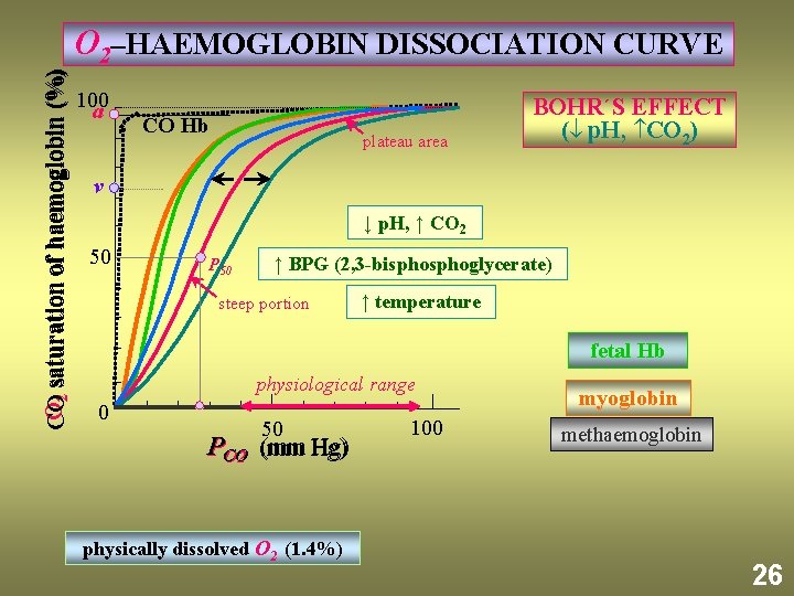 O 2 saturation of haemoglobin (%) CO O 2–HAEMOGLOBIN DISSOCIATION CURVE 100 a CO