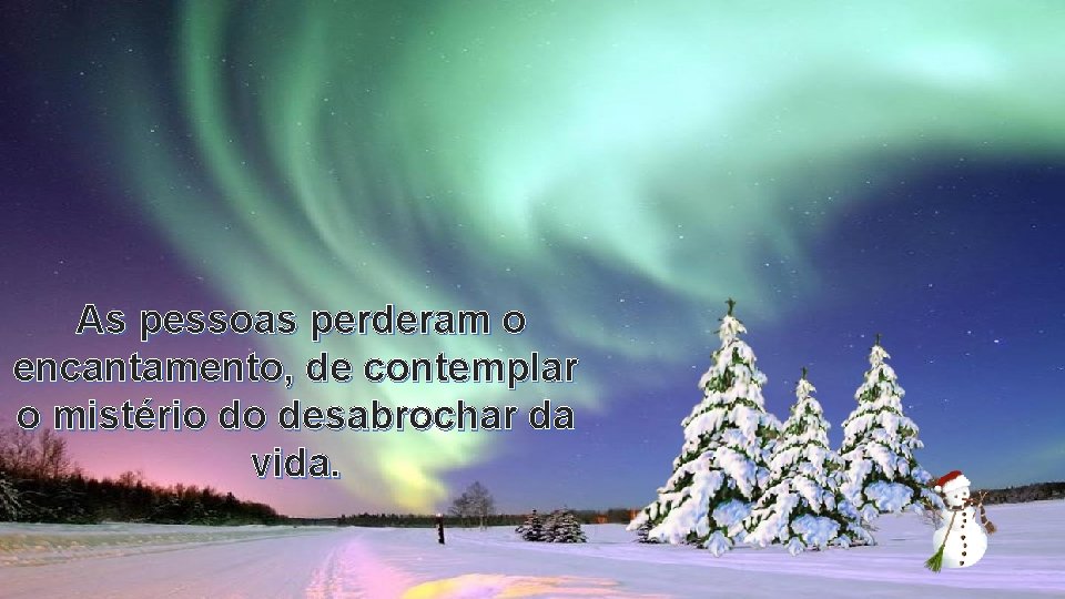 As pessoas perderam o encantamento, de contemplar o mistério do desabrochar da vida. 