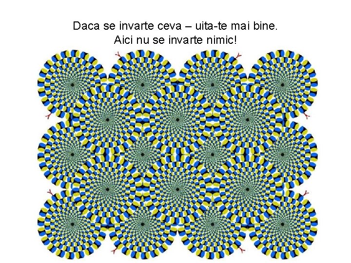 Daca se invarte ceva – uita-te mai bine. Aici nu se invarte nimic! 