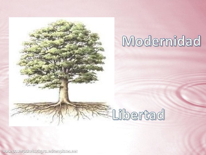 Modernidad Libertad 