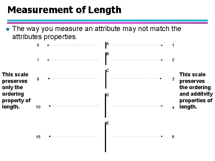 Measurement of Length l The way you measure an attribute may not match the