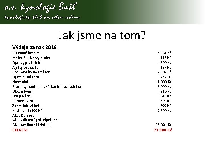 Jak jsme na tom? Výdaje za rok 2019: Pohonné hmoty Materiál – barvy a