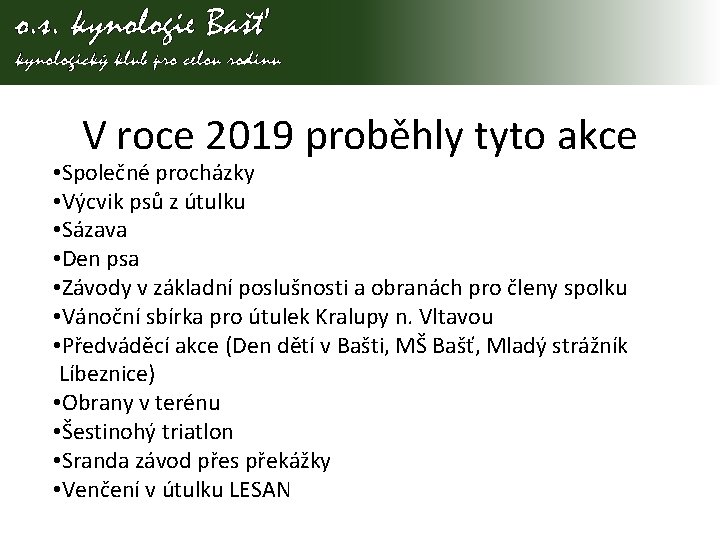 V roce 2019 proběhly tyto akce • Společné procházky • Výcvik psů z útulku