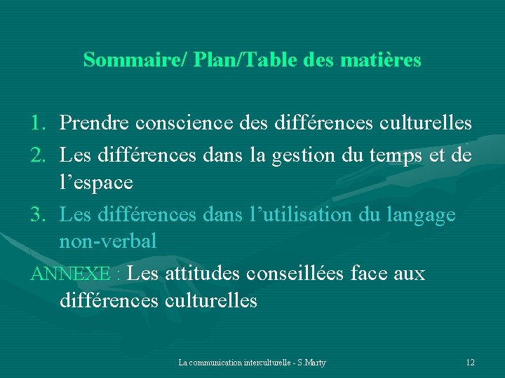 Sommaire/ Plan/Table des matières 1. Prendre conscience des différences culturelles 2. Les différences dans