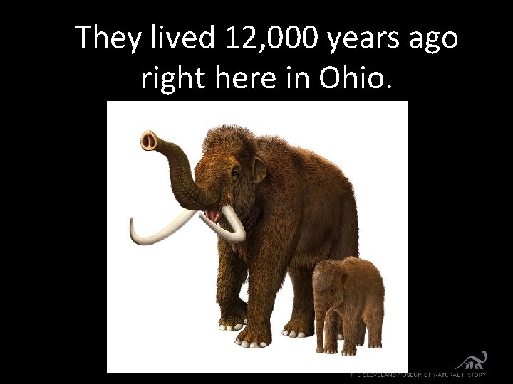 They lived 12, 000 years ago right here in Ohio. 