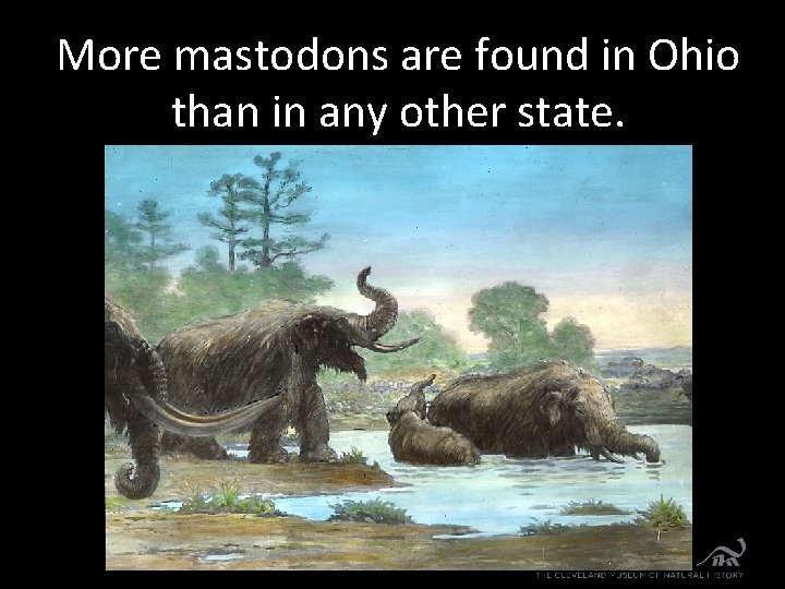 More mastodons are found in Ohio than in any other state. 