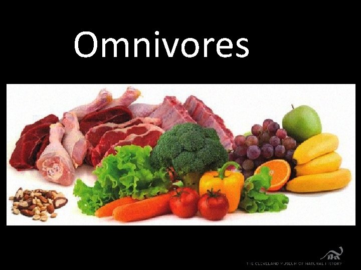 Omnivores 
