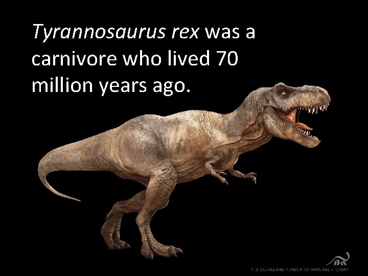 Tyrannosaurus rex was a carnivore who lived 70 million years ago. 
