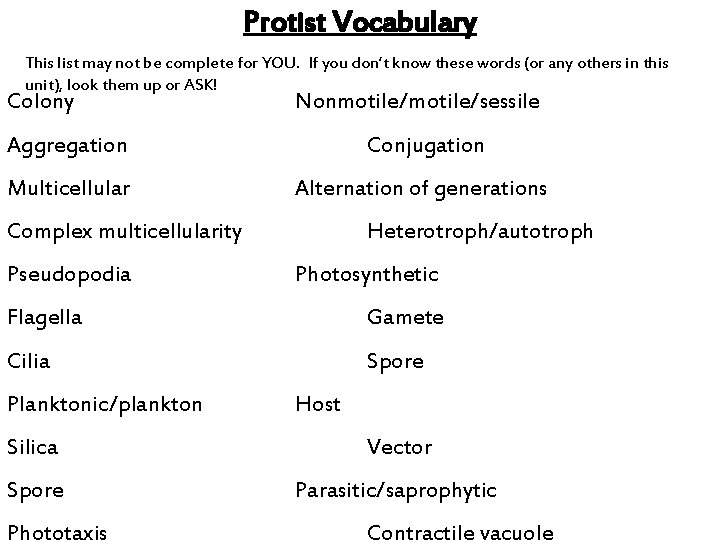 Protist Vocabulary This list may not be complete for YOU. If you don’t know