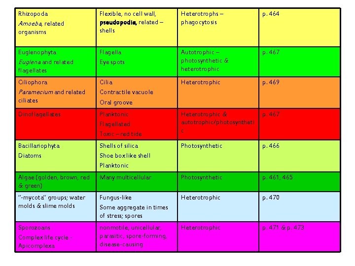 Rhizopoda Amoeba, related organisms Flexible, no cell wall, pseudopodia, related – shells Heterotrophs –