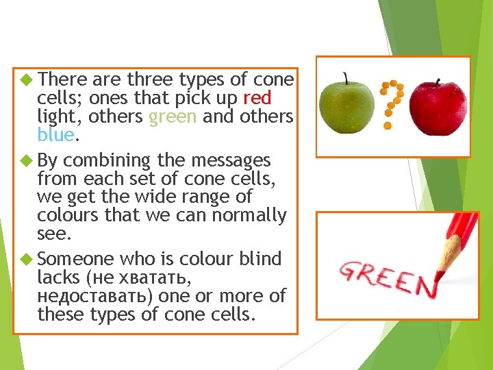  There are three types of cone cells; ones that pick up red light,
