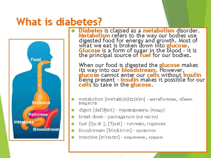 What is diabetes? Diabetes is classed as a metabolism disorder. Metabolism refers to the