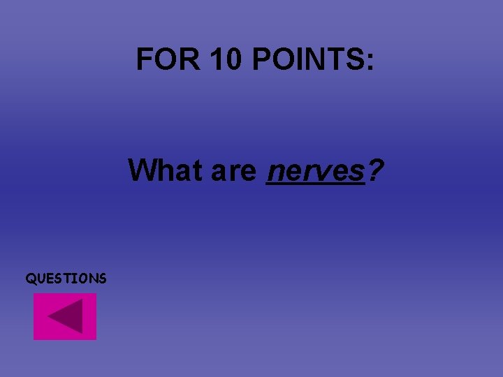 FOR 10 POINTS: What are nerves? QUESTIONS FOR 10 POINTS: What are nerves? QUESTIONS