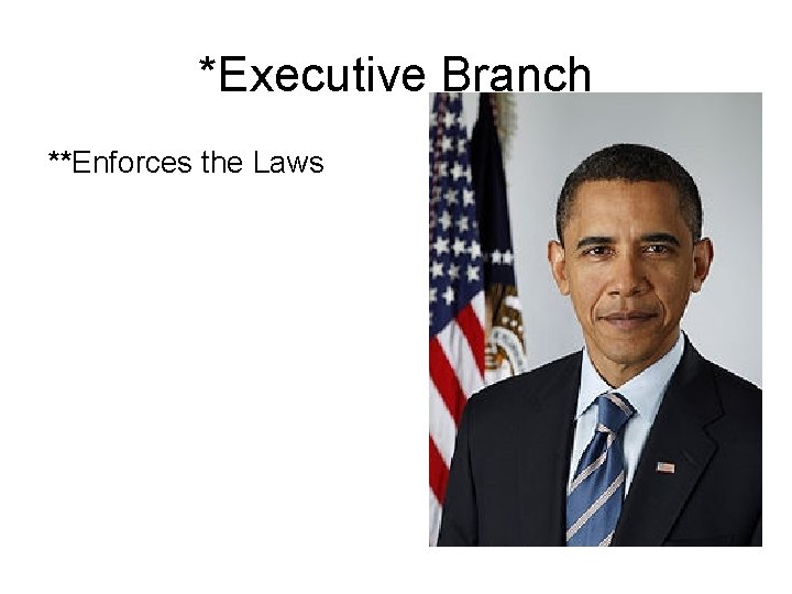*Executive Branch **Enforces the Laws 