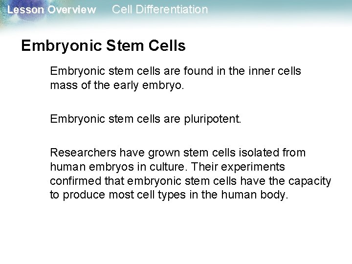 Lesson Overview Cell Differentiation Embryonic Stem Cells Embryonic stem cells are found in the