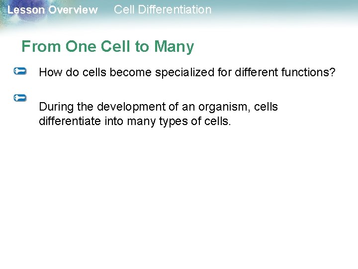 Lesson Overview Cell Differentiation From One Cell to Many How do cells become specialized