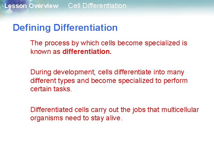 Lesson Overview Cell Differentiation Defining Differentiation The process by which cells become specialized is