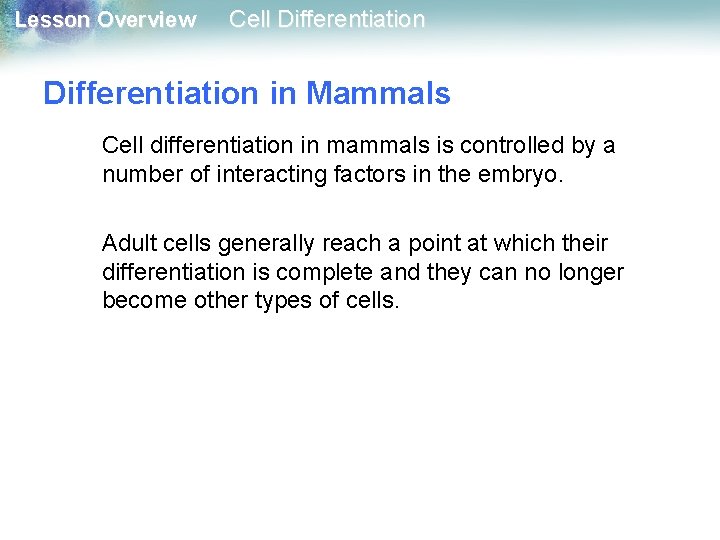 Lesson Overview Cell Differentiation in Mammals Cell differentiation in mammals is controlled by a