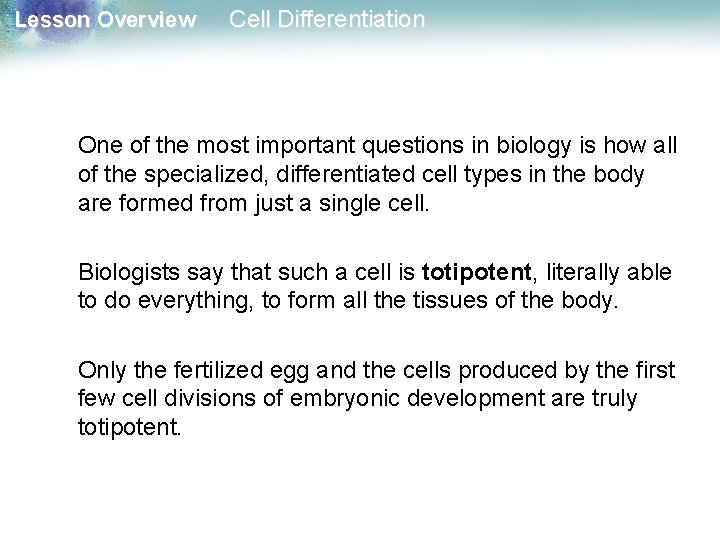 Lesson Overview Cell Differentiation One of the most important questions in biology is how
