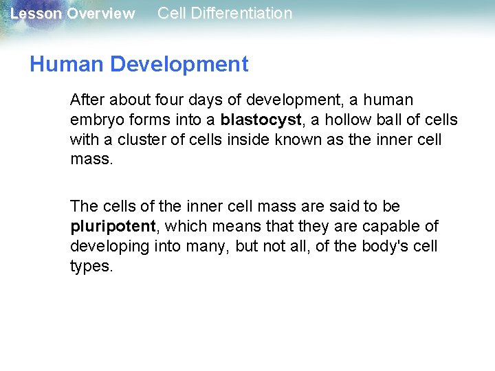 Lesson Overview Cell Differentiation Human Development After about four days of development, a human