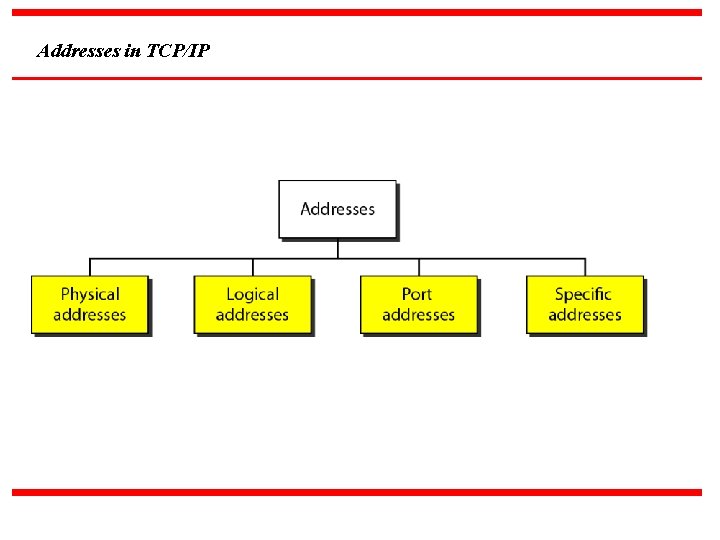 Addresses in TCP/IP 