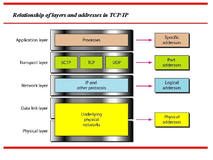 Relationship of layers and addresses in TCP/IP 