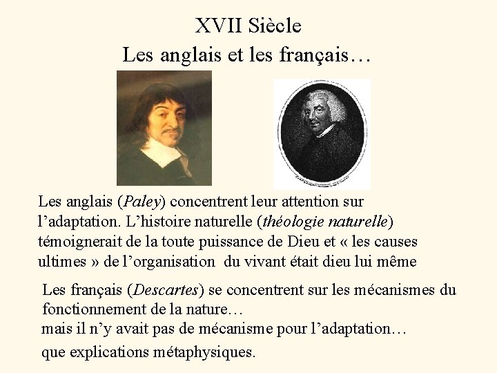 XVII Siècle Les anglais et les français… Les anglais (Paley) concentrent leur attention sur