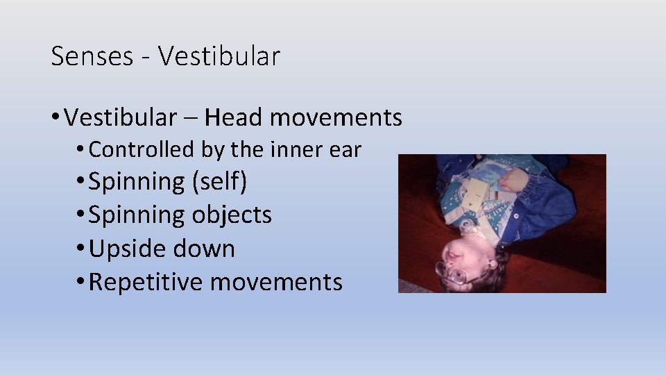 Senses - Vestibular • Vestibular – Head movements • Controlled by the inner ear