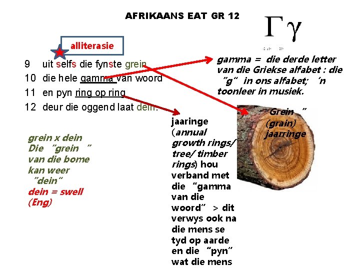 AFRIKAANS EAT GR 12 Palimpses Johann de Lange