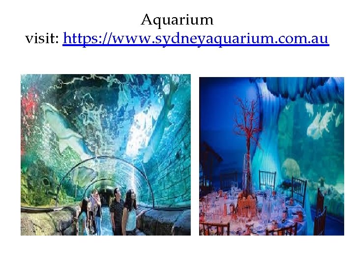 Aquarium visit: https: //www. sydneyaquarium. com. au 
