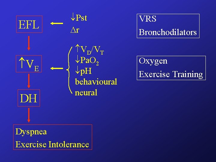 EFL VE DH Pst r VD/VT Pa. O 2 p. H behavioural neural Dyspnea EFL VE DH Pst r VD/VT Pa. O 2 p. H behavioural neural Dyspnea