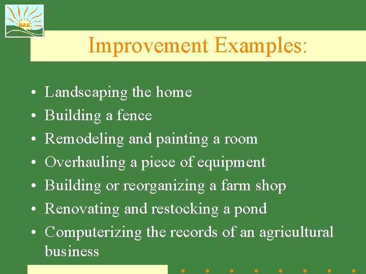 Improvement Examples: • • Landscaping the home Building a fence Remodeling and painting a