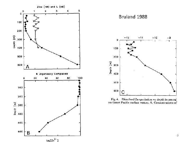 Bruland 1988 9 