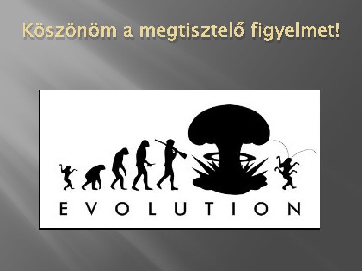 Köszönöm a megtisztelő figyelmet! 