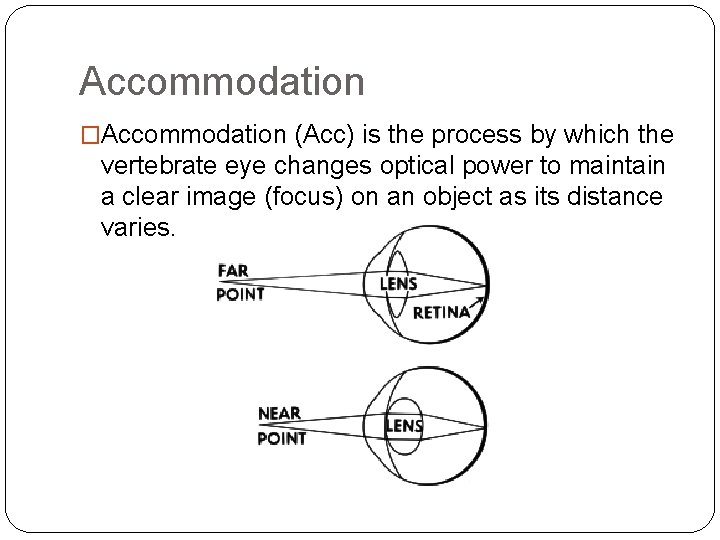 Accommodation �Accommodation (Acc) is the process by which the vertebrate eye changes optical power Accommodation �Accommodation (Acc) is the process by which the vertebrate eye changes optical power