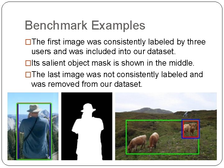 Benchmark Examples �The first image was consistently labeled by three users and was included Benchmark Examples �The first image was consistently labeled by three users and was included