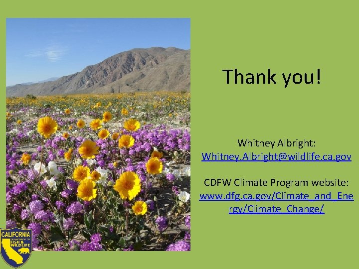 Thank you! Whitney Albright: Whitney. Albright@wildlife. ca. gov CDFW Climate Program website: www. dfg. Thank you! Whitney Albright: Whitney. Albright@wildlife. ca. gov CDFW Climate Program website: www. dfg.