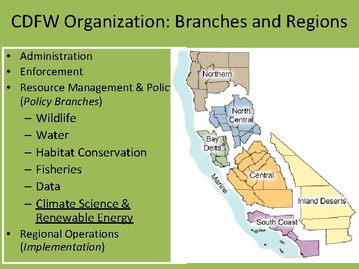 CDFW Organization: Branches and Regions • Administration • Enforcement • Resource Management & Policy CDFW Organization: Branches and Regions • Administration • Enforcement • Resource Management & Policy