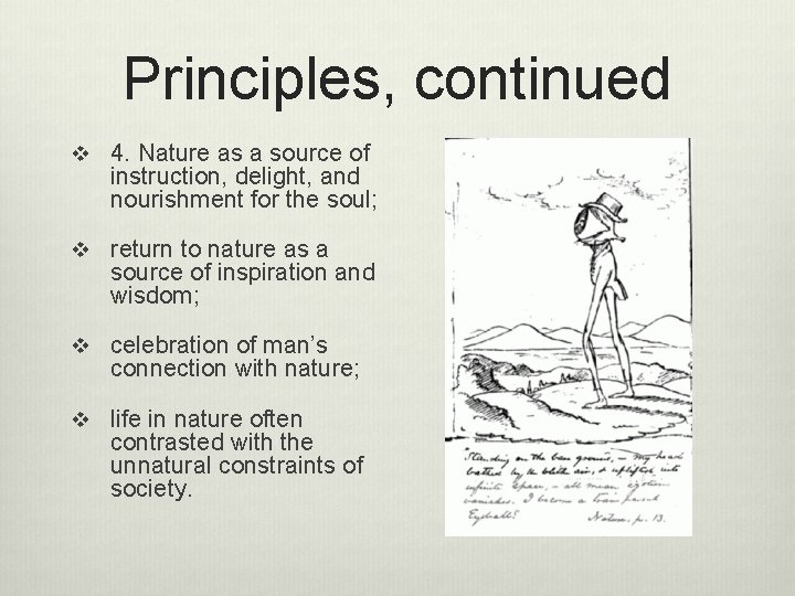 Principles, continued v 4. Nature as a source of instruction, delight, and nourishment for