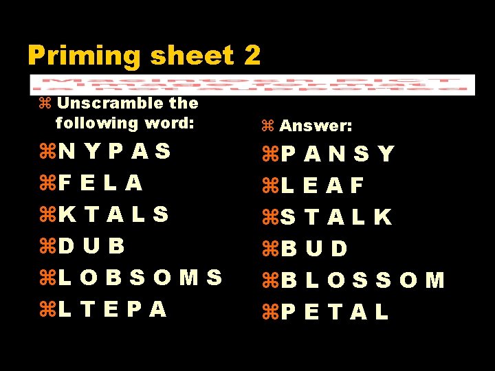 Priming sheet 2 z Unscramble the following word: z. N Y P A S