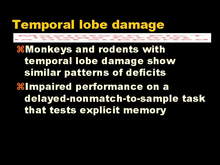 Temporal lobe damage z. Monkeys and rodents with temporal lobe damage show similar patterns