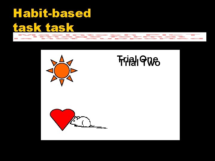 Habit-based task Trial One Two 