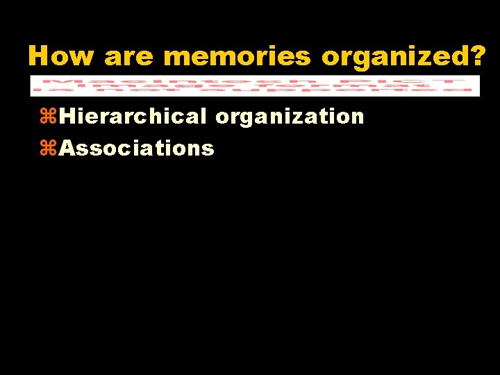 How are memories organized? z. Hierarchical organization z. Associations 