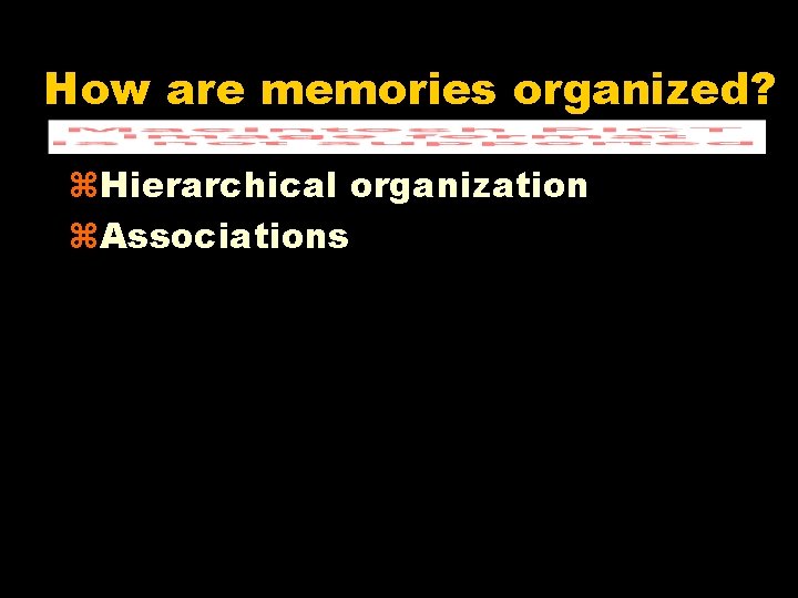 How are memories organized? z. Hierarchical organization z. Associations 